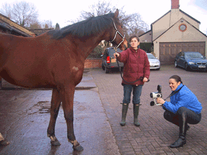 Thermal Imaging Inspection on a horse
