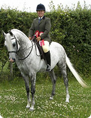 dressage horse helped with thermal imaging and massage